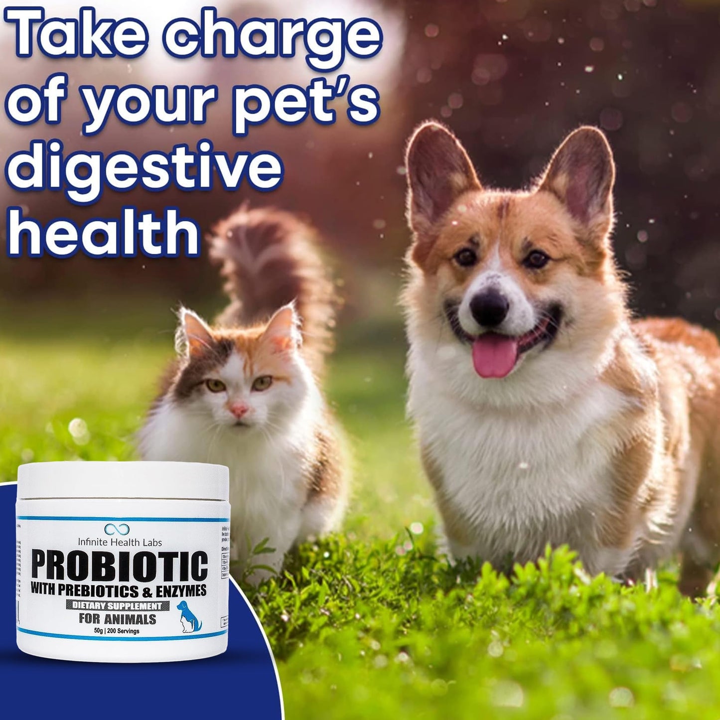 A fluffy brown and white dog and a long-haired cat stand on grass. Text says, “Take charge of your pet’s digestive health.” A container labeled “Infinite Health Labs Probiotics for Animals” appears in the corner.