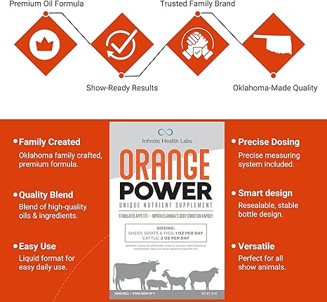 Infographic for Orange Power by Infinite Health Labs showcases premium oil, precise dosing, and show-ready results. Family-created in Oklahoma, this appetite stimulant suits all show animals with a quality blend from a trusted brand.