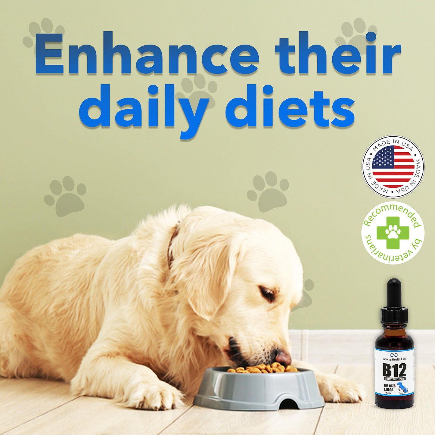 A golden retriever eats from a gray bowl on the floor. Text above says, “Enhance their daily diets.” Vet- and USA-made seals and a bottle labeled Infinite Health Labs Liquid Vitamin B-12 for Dogs and Cats appear in the bottom right.