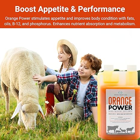 Two smiling children pet a sheep in a grassy field. In front, an orange Infinite Health Labs “Orange Power” bottle stands. Above, text highlights this livestock supplement’s appetite stimulant, performance, and metabolism support benefits.