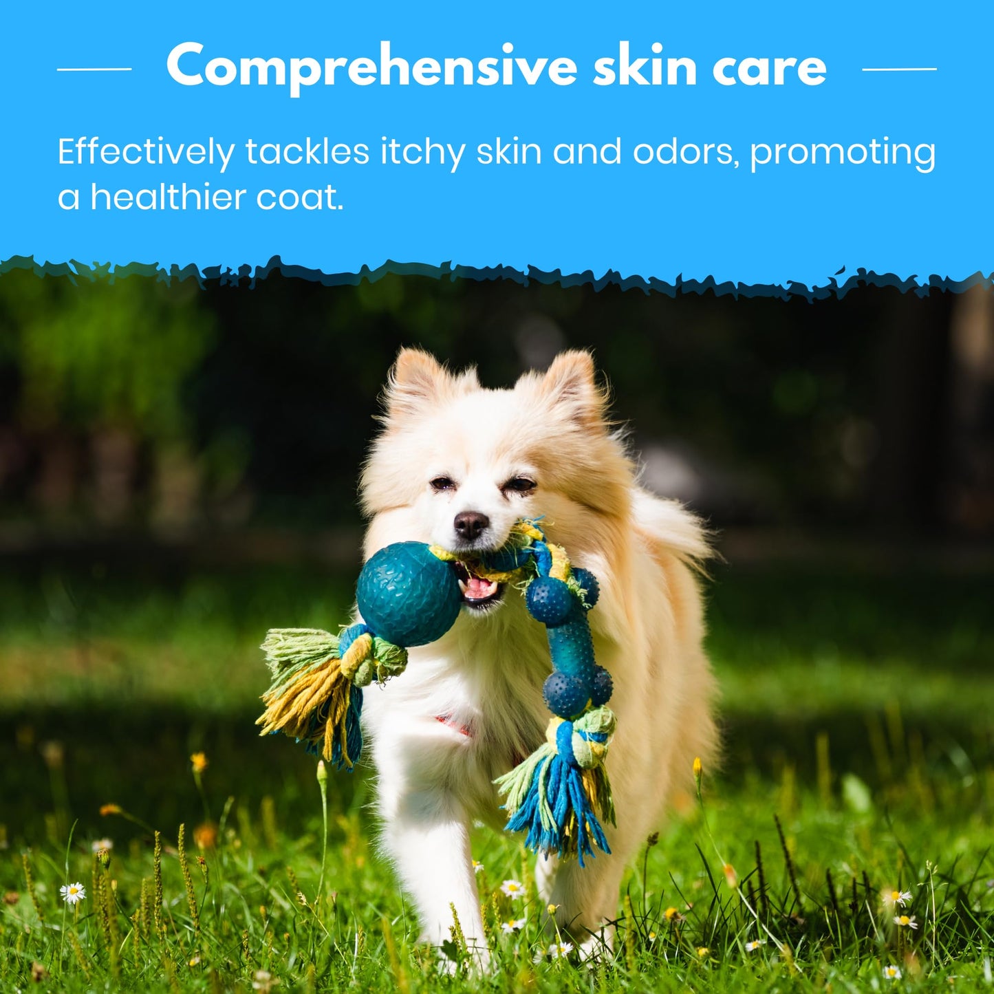 EcoLather Shampoo