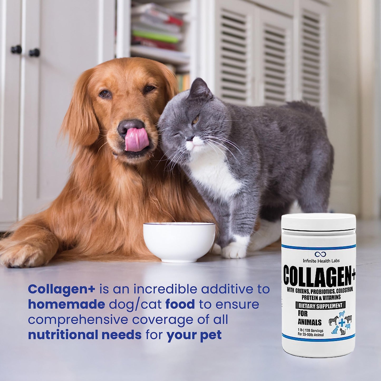 A golden retriever and a gray cat sit by a bowl of food with Infinite Health Labs Collagen+ Dog or Cat Food Topper, highlighting it as a supplement that supports digestive and immune health for pets.