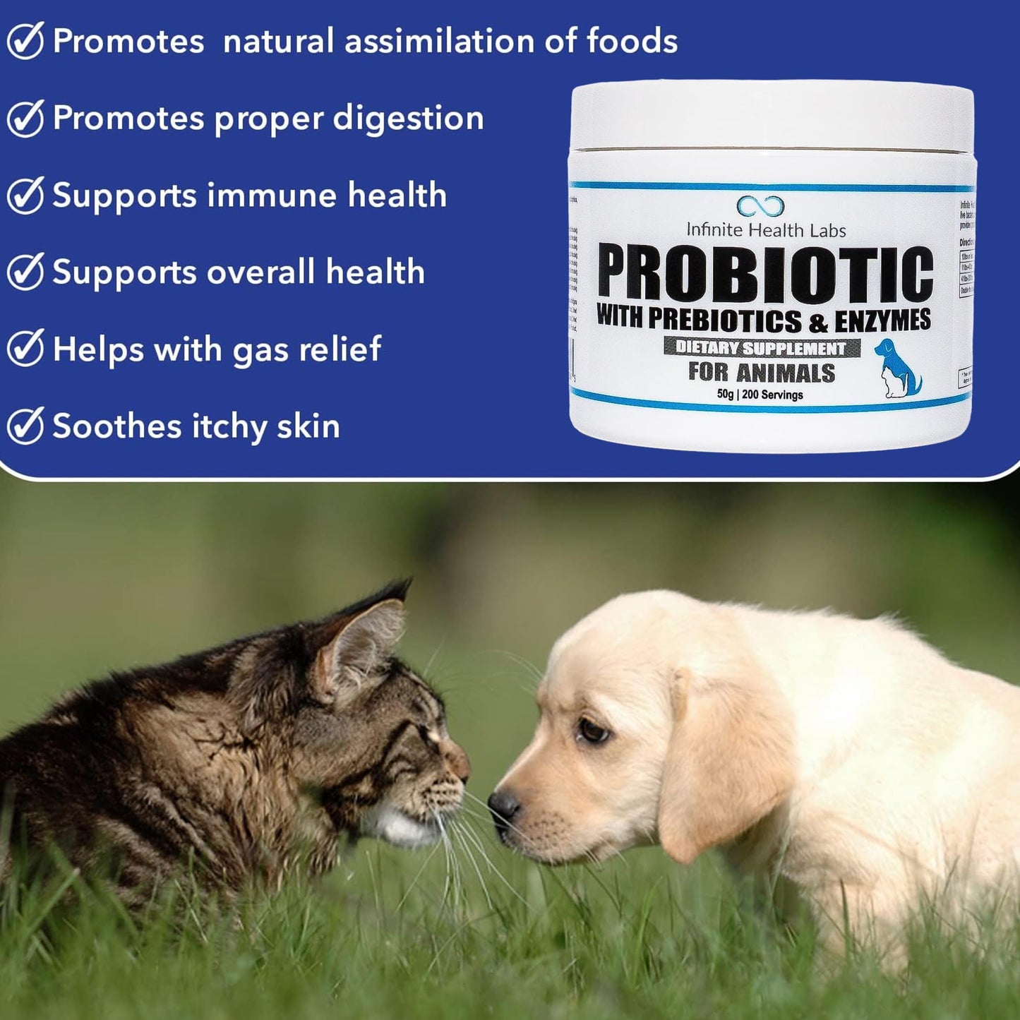 A tub of Infinite Health Labs Probiotics for Animals is shown with benefits like gut and immune support, better digestion, gas relief, and skin soothing; below, a puppy and kitten gently touch noses on the grass.