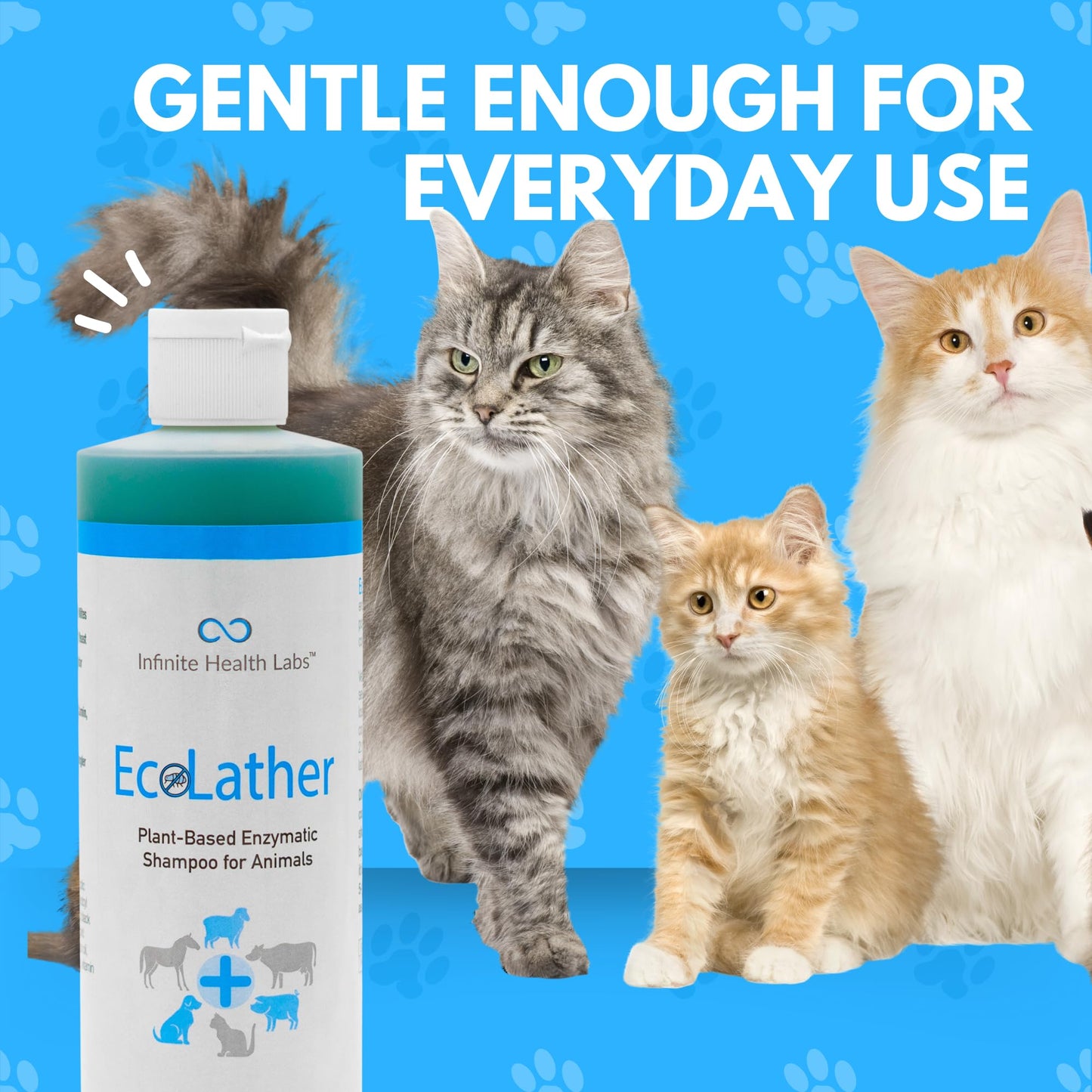 EcoLather Shampoo