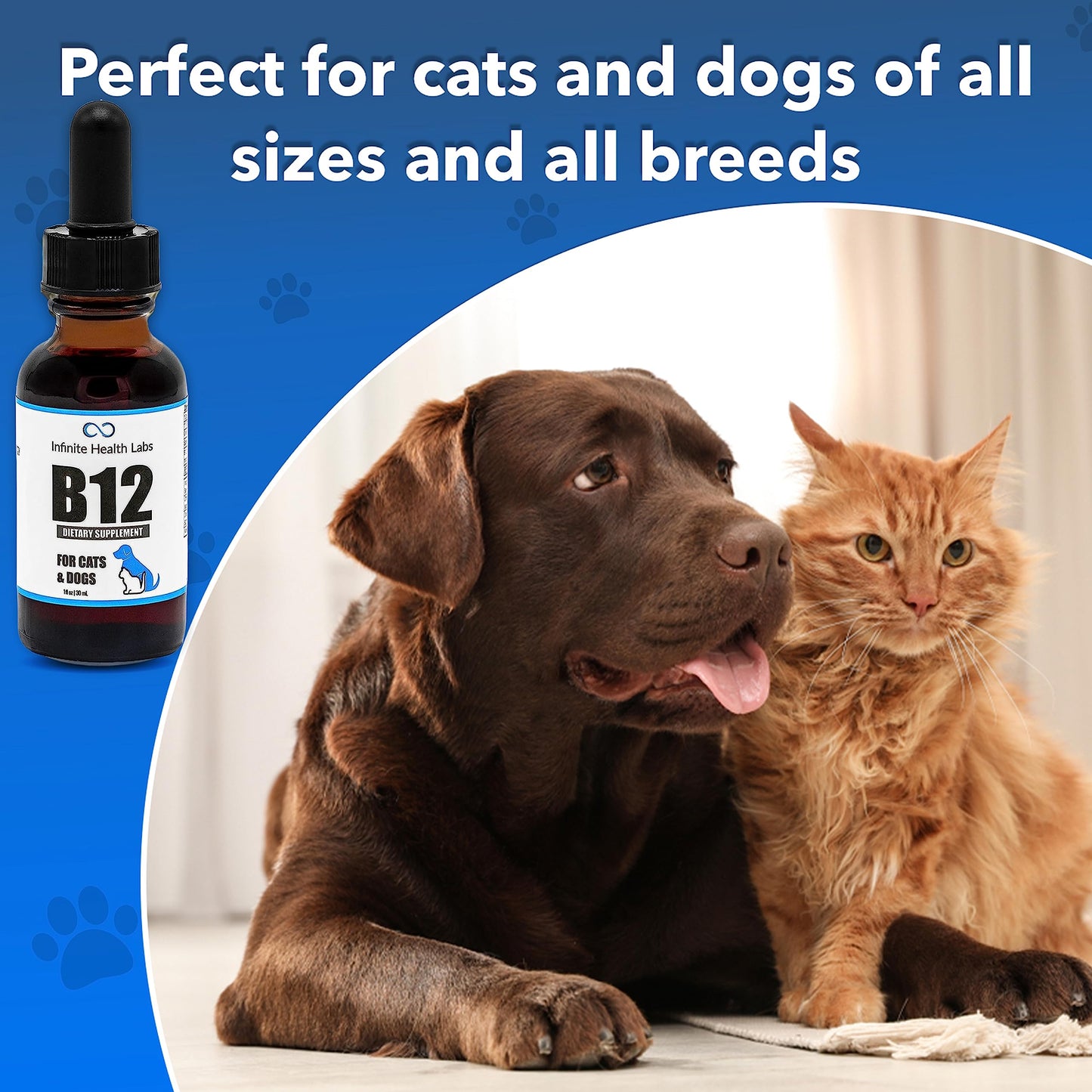 A brown dog and an orange cat sit together on the floor. On the left is Infinite Health Labs Liquid Vitamin B-12 for Dogs and Cats. Text says, perfect for all cat and dog breeds and sizes.