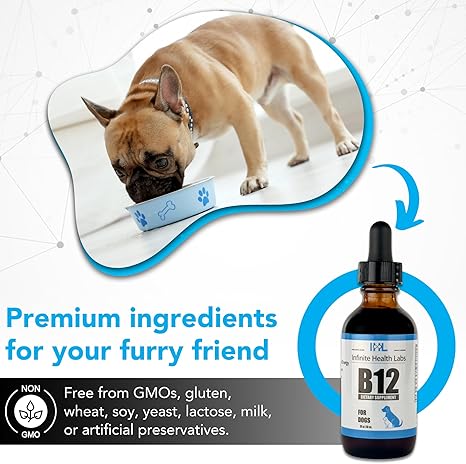 A French Bulldog eats from a blue bowl next to Infinite Health Labs Liquid Vitamin B-12 for Dogs and Cats, a premium, non-GMO bioactive supplement—free from gluten, wheat, soy, yeast, lactose, milk, and preservatives.