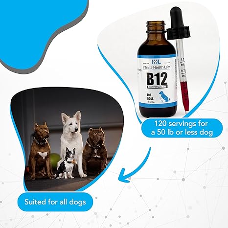 A photo of four dogs of various breeds sits beside Infinite Health Labs Liquid Vitamin B-12 for Dogs and Cats with a dropper. Text reads: Suitable for all dogs and 120 servings per bottle for a dog weighing 50 lbs or less.