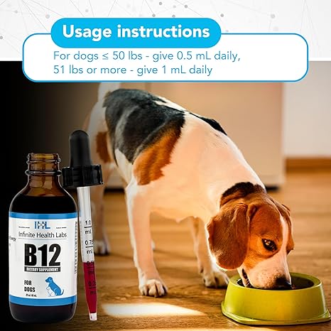 A beagle eats from a green bowl next to a bottle of Infinite Health Labs Liquid Vitamin B-12 for Dogs and Cats with dropper. Dosage: dogs ≤50 lbs—0.5 mL daily; dogs ≥51 lbs—1 mL daily.