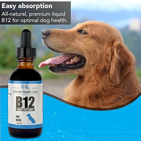 A happy golden retriever sits beside a bottle of Infinite Health Labs Liquid Vitamin B-12 for Dogs and Cats, supporting easy absorption and optimal pet health with this premium, all-natural supplement.