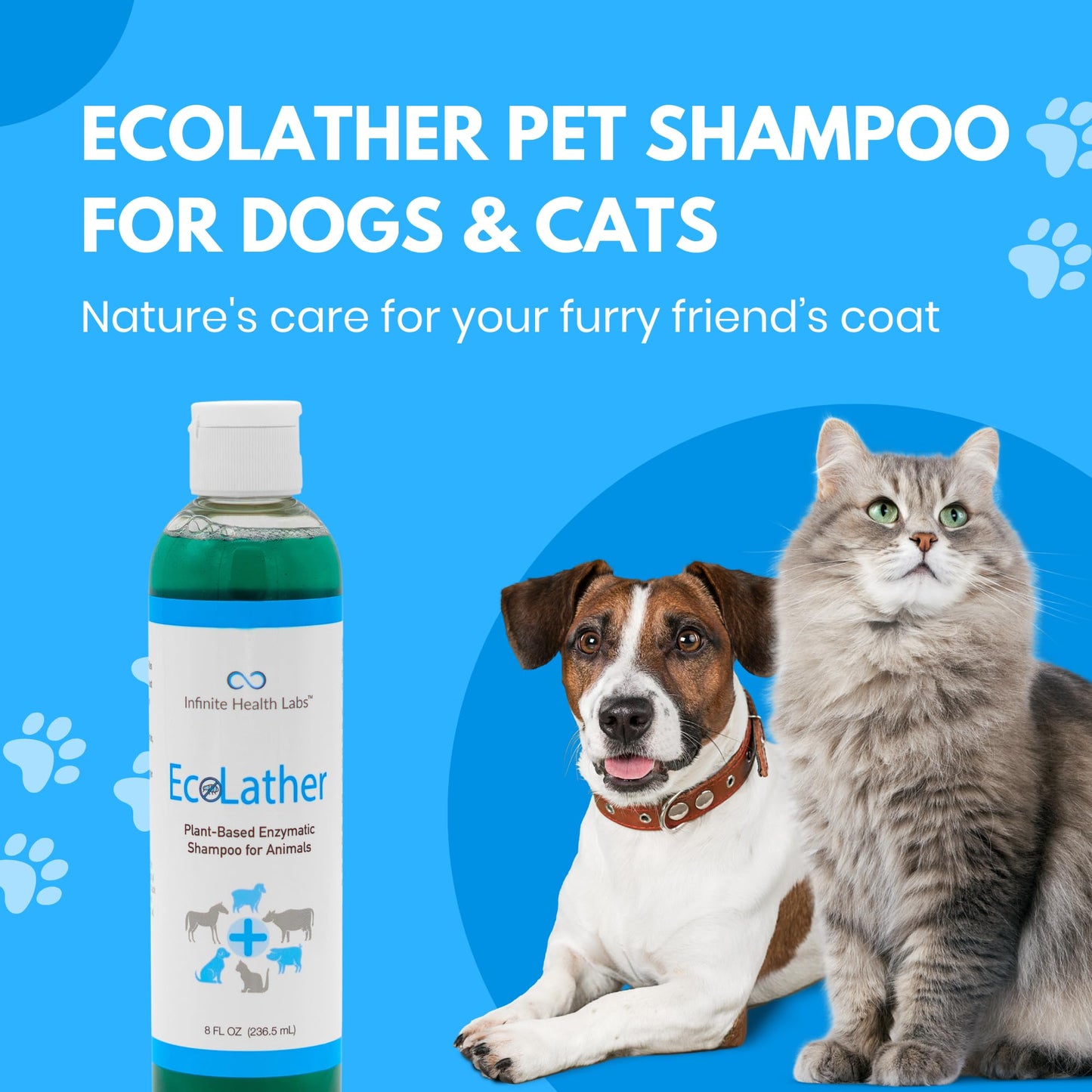 EcoLather Shampoo