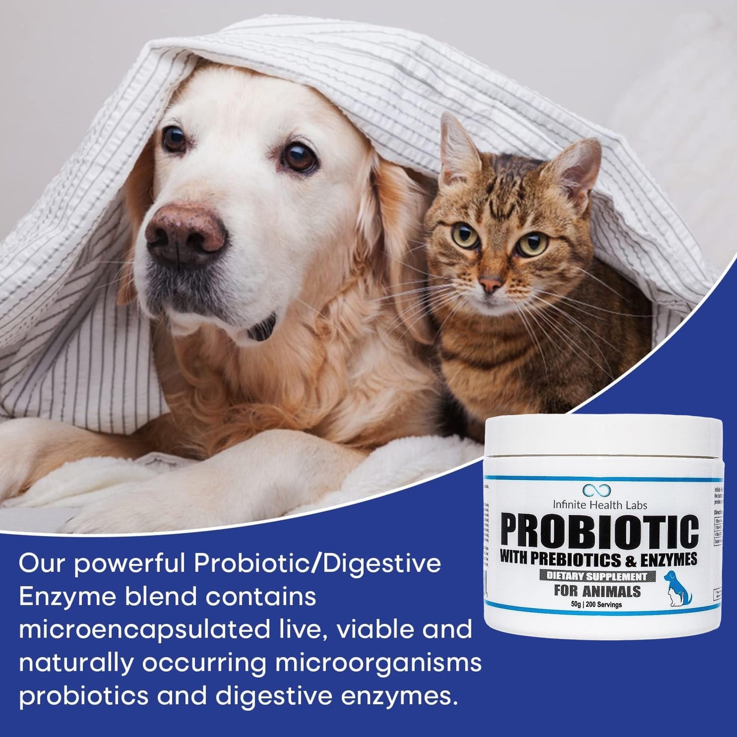 A golden retriever and a tabby cat sit together under a striped blanket. In the foreground is Infinite Health Labs Probiotics for Animals, with text highlighting gut health benefits for pets.