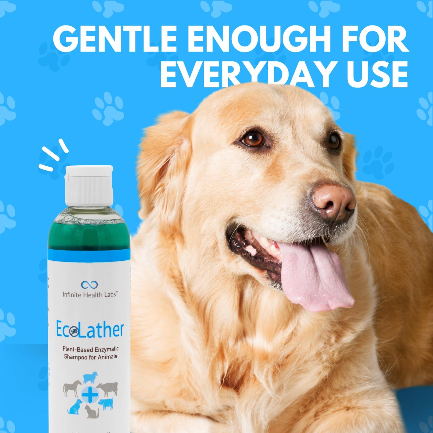 EcoLather Shampoo