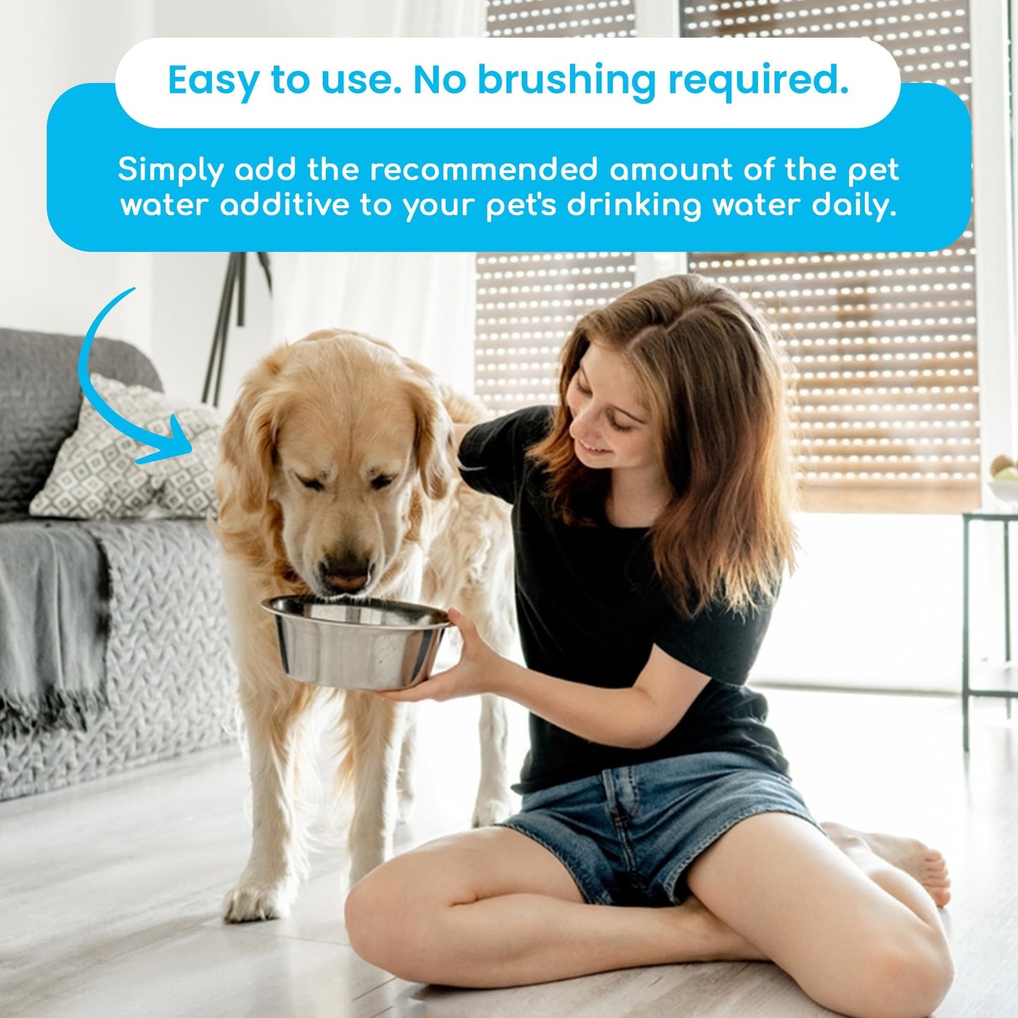 Oxydent Pet Dental Care