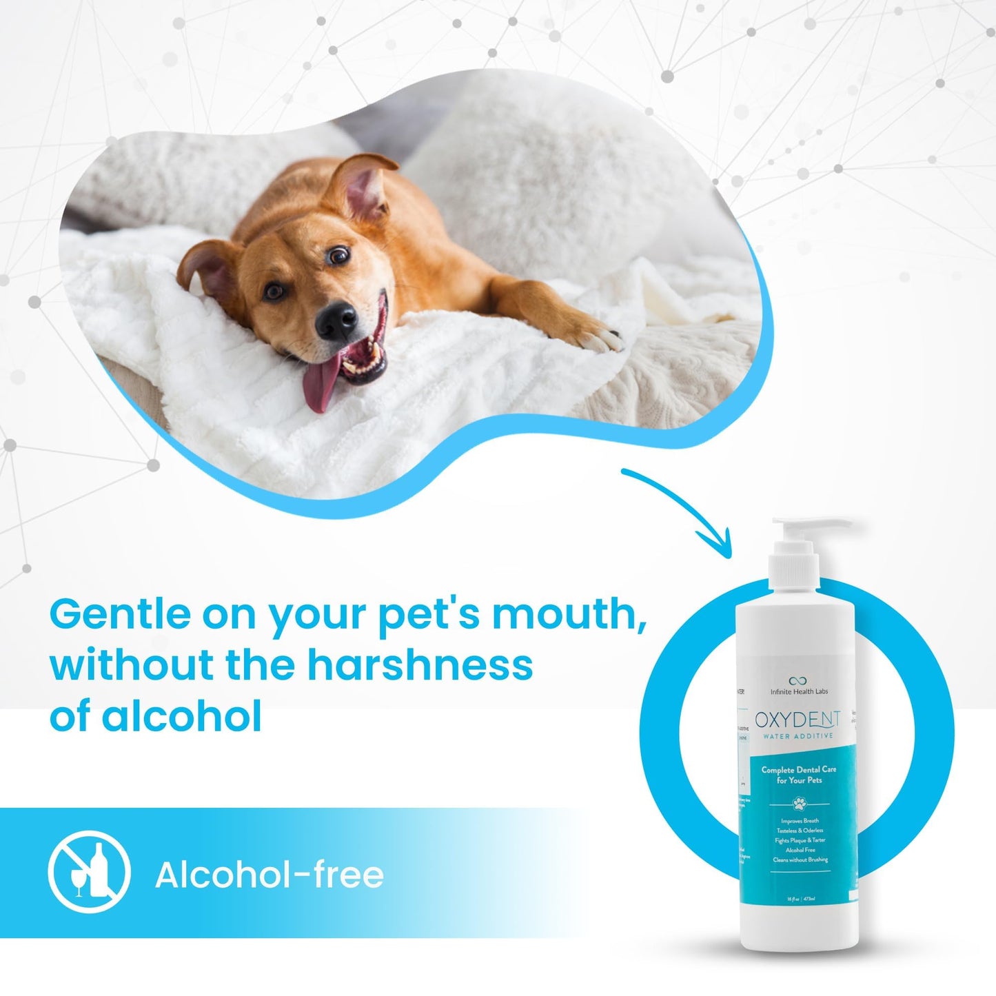 Oxydent Pet Dental Care