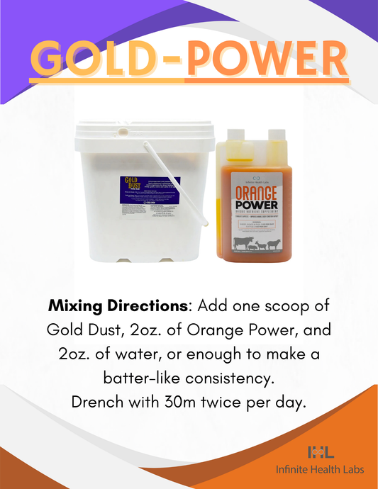 The Power Duo: Mixing Orange Power & Gold Dust for Ultimate Show Ring Results