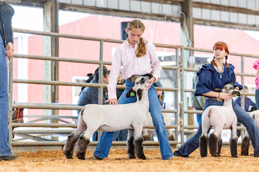 Unlocking Show Ring Success with Gold Dust
