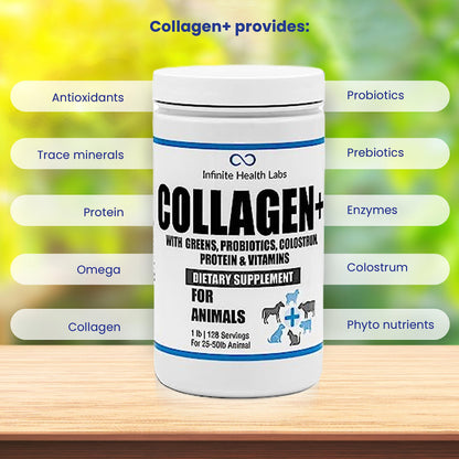 A container of Infinite Health Labs Collagen+ Dog or Cat Food Topper sits on a wooden surface, surrounded by ingredient benefits like antioxidants, probiotics, protein, enzymes, omegas, colostrum, and phytonutrients.