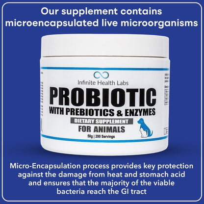 A white container of Infinite Health Labs Probiotics for Animals is shown on a blue background, highlighting its benefits and micro-encapsulated live microorganisms for optimal gut health in dogs.