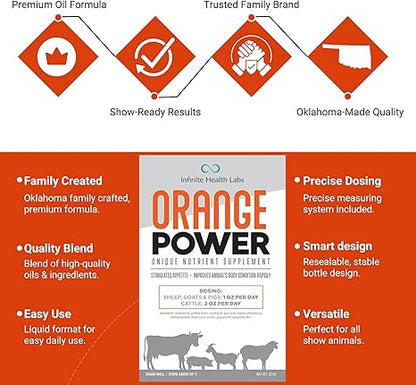 Infographic for Orange Power by Infinite Health Labs showcases premium oil, precise dosing, and show-ready results. Family-created in Oklahoma, this appetite stimulant suits all show animals with a quality blend from a trusted brand.