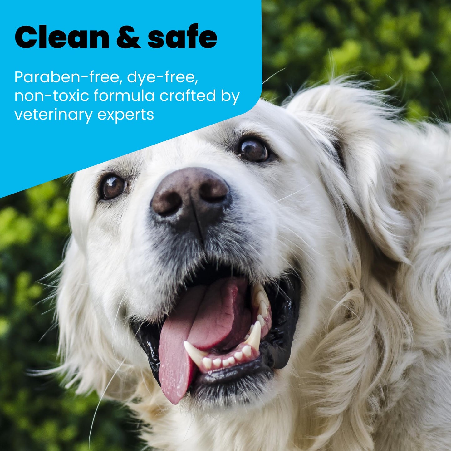 Oxydent Pet Dental Care