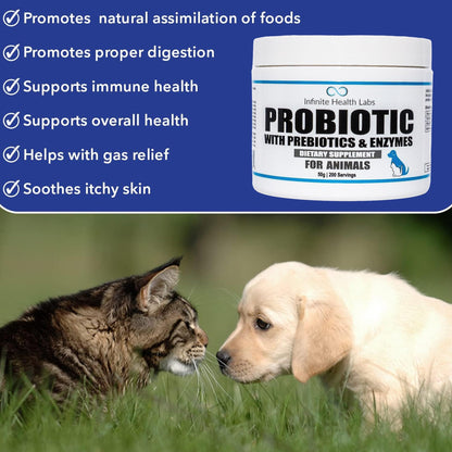 A tub of Infinite Health Labs Probiotics for Animals is shown with benefits like gut and immune support, better digestion, gas relief, and skin soothing; below, a puppy and kitten gently touch noses on the grass.
