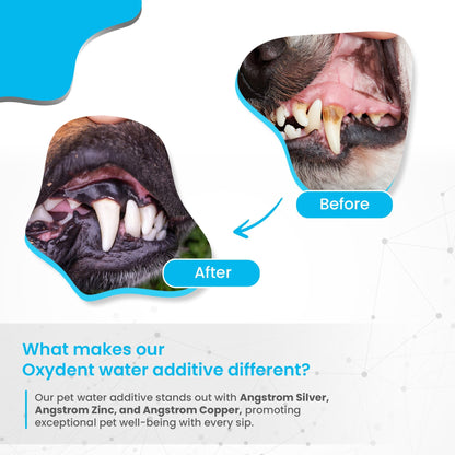 Oxydent Pet Dental Care