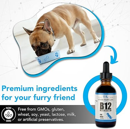 A French Bulldog eats from a blue bowl next to Infinite Health Labs Liquid Vitamin B-12 for Dogs and Cats, a premium, non-GMO bioactive supplement—free from gluten, wheat, soy, yeast, lactose, milk, and preservatives.