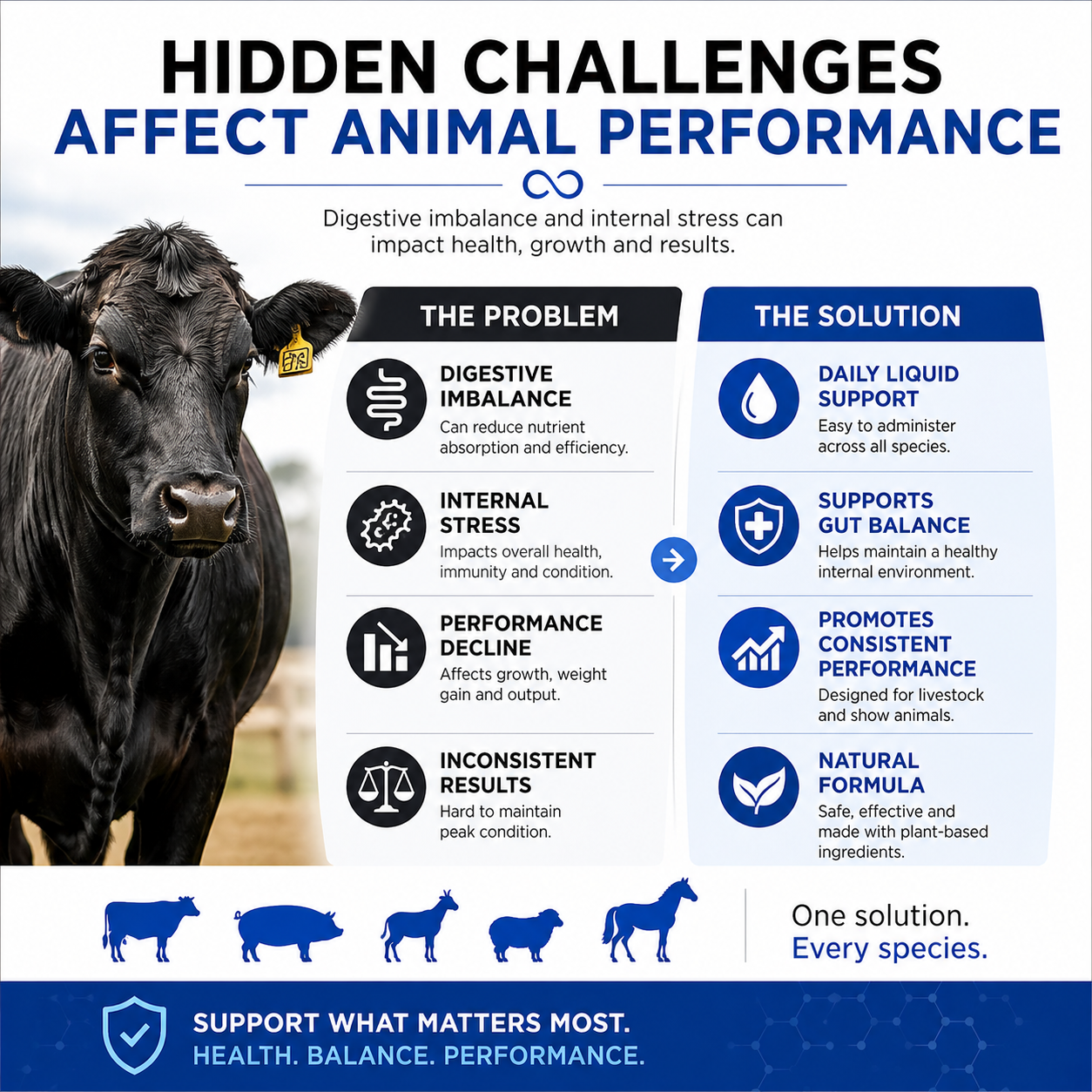 An infographic with a cow highlights animal issues like digestive imbalance, stress, and low performance. Infinite Health Labs' Purge offers natural gut health and parasite support, serving as a dewormer for goats, sheep, dogs, and swine.
