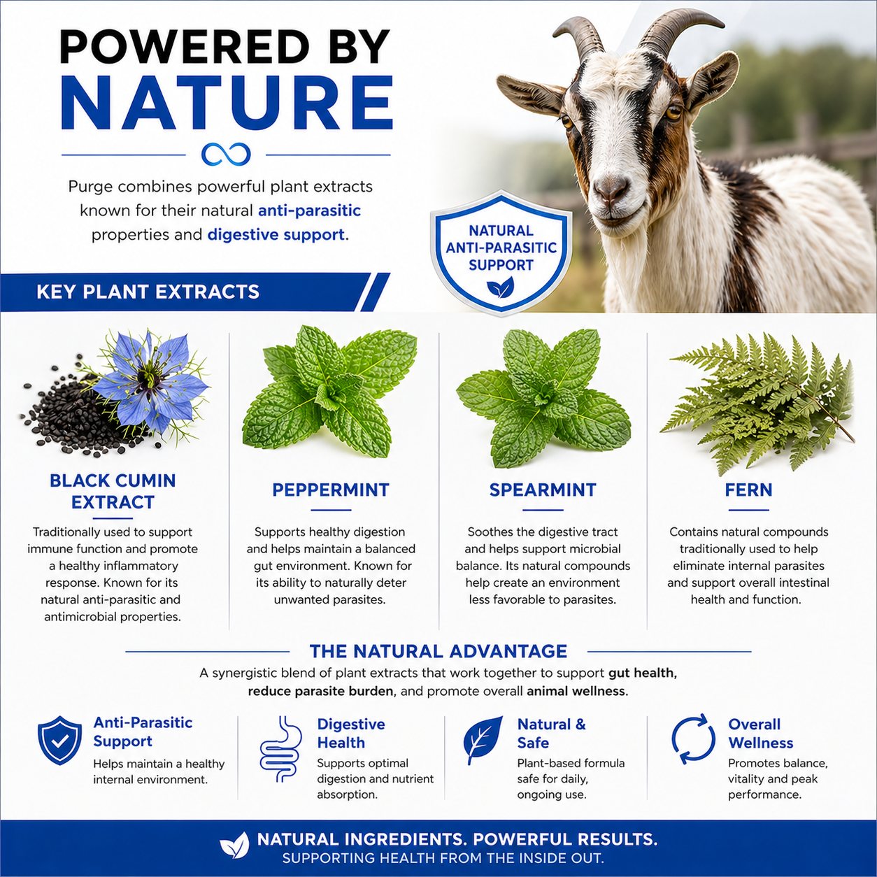 Infographic featuring a goat and details about plant extracts—black cumin, peppermint, spearmint, and fern—highlighting Infinite Health Labs’ Purge, a natural dewormer for goats that supports gut health and parasites with natural ingredients.