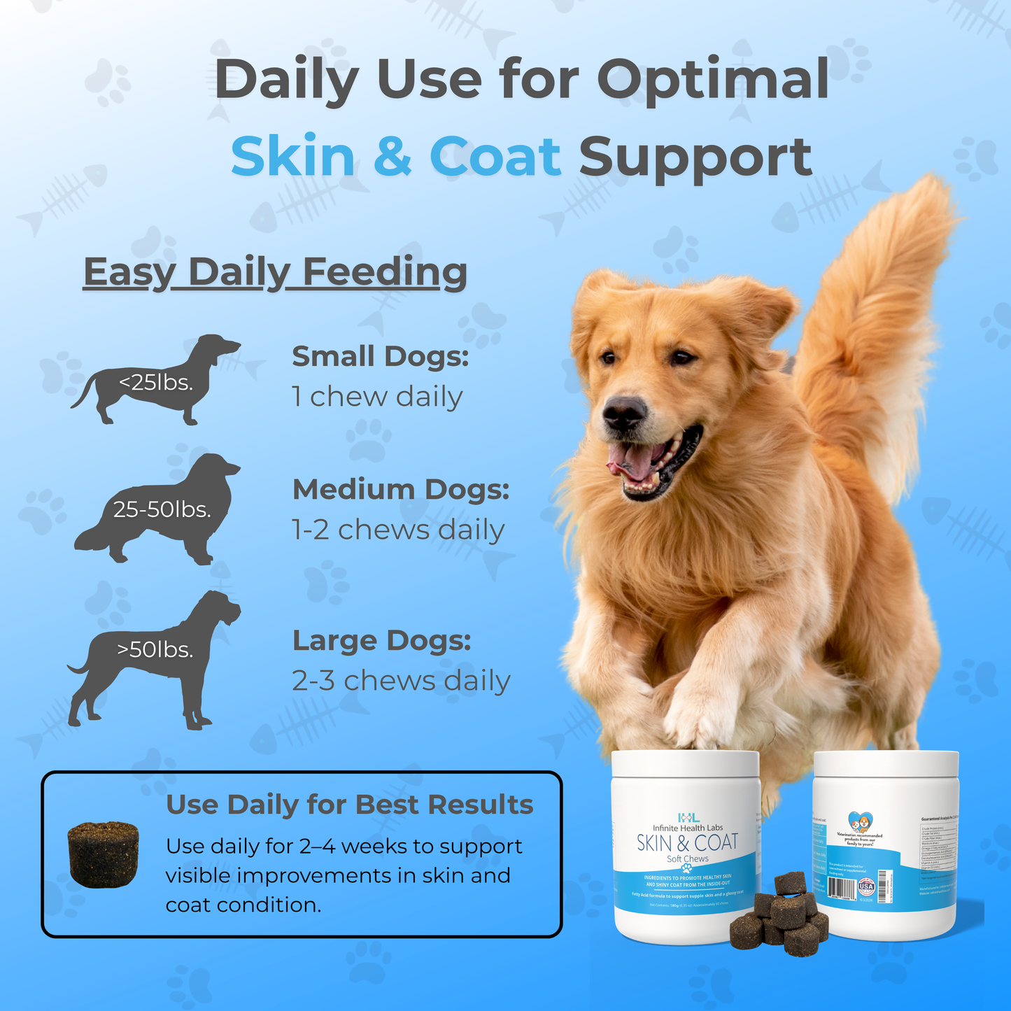 A golden retriever runs beside Infinite Health Labs Dog Skin & Coat Soft Chews, featuring Omega-3, biotin, and collagen. Text shares daily feeding tips for all dog sizes and emphasizes 2–4 weeks of use for a healthy coat. Blue, bone-themed background.