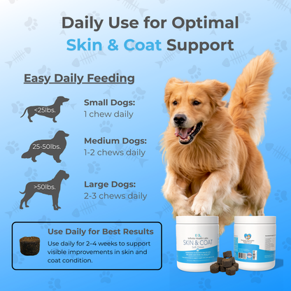 A golden retriever runs beside Infinite Health Labs Dog Skin & Coat Soft Chews, featuring Omega-3, biotin, and collagen. Text shares daily feeding tips for all dog sizes and emphasizes 2–4 weeks of use for a healthy coat. Blue, bone-themed background.