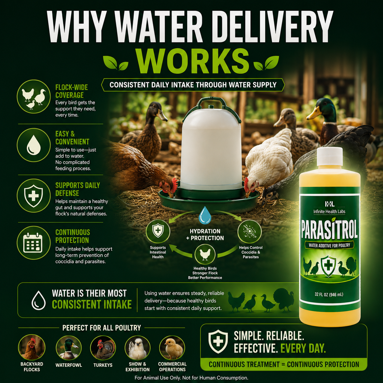 Infographic with chickens and ducks around a waterer, Parasitrol Poultry Water Additive by Infinite Health Labs, and icons showing benefits like hydration, coccidia control, and gut health for backyard, wild, and commercial flocks.