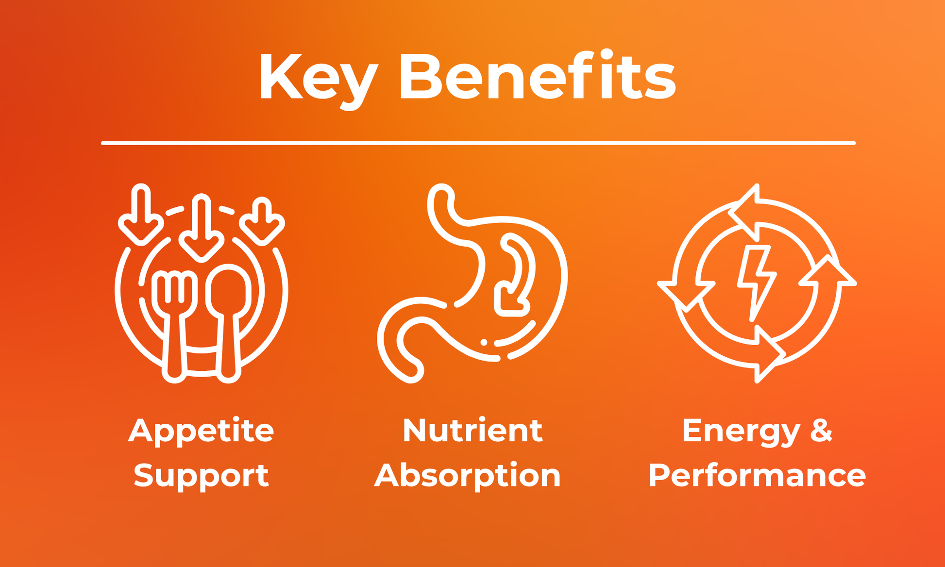 Orange Power by Infinite Health Labs features an orange gradient background with white icons and text highlighting key benefits: Appetite Support (utensils icon), Nutrient Absorption (stomach icon), and Energy & Performance (energy cycle icon) for livestock.