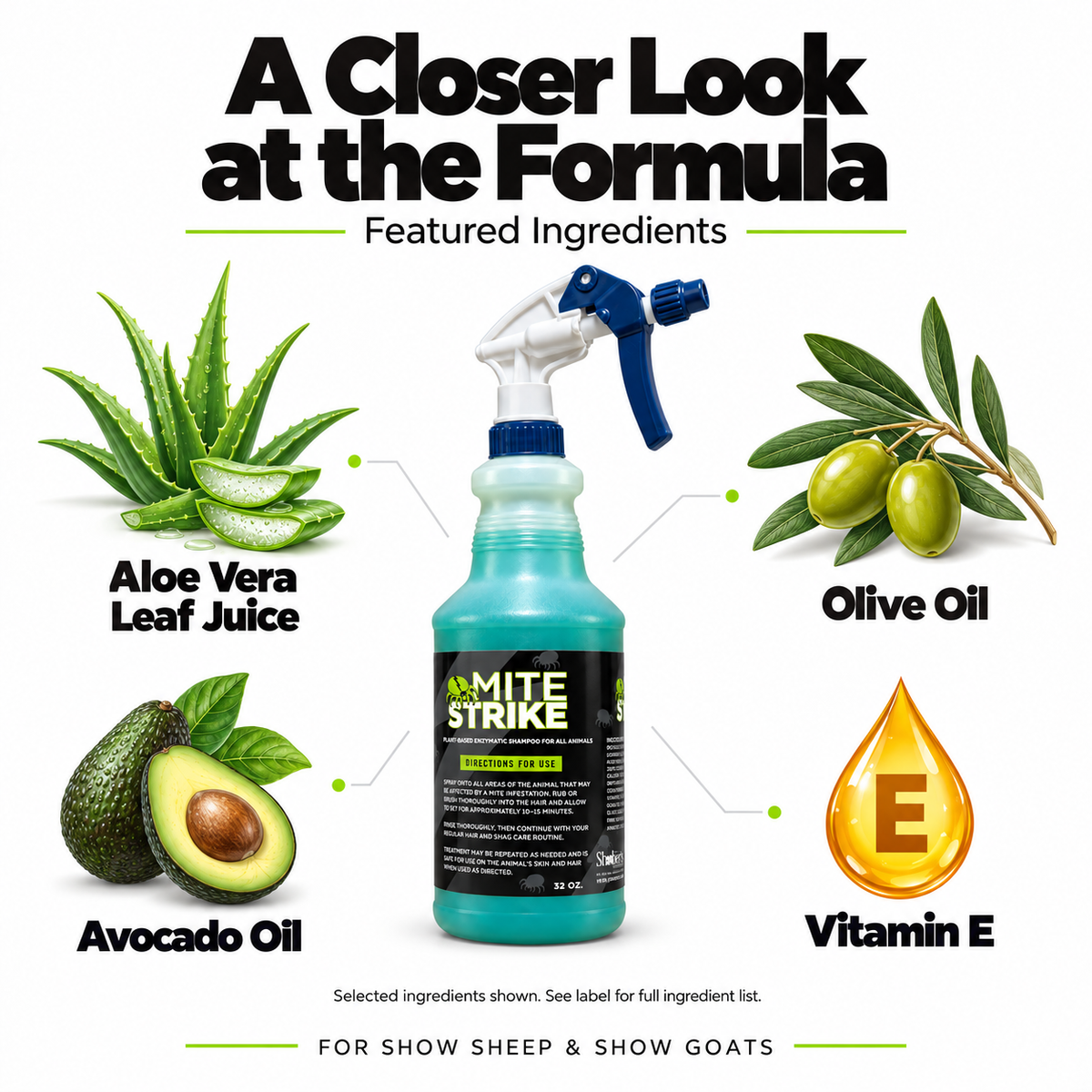 A bottle of Mite Strike – Plant-Based Enzymatic Shampoo for Show Sheep & Goats – 32 oz surrounded by icons of its ingredients: aloe vera leaf juice, olive oil, avocado oil, and vitamin E.