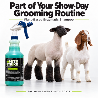 A bottle of Mite Strike – Plant-Based Enzymatic Shampoo for Show Sheep & Goats – 32 oz beside a sheep and a goat, with text reading Part of Your Show-Day Grooming Routine and For Show Sheep & Show Goats.
