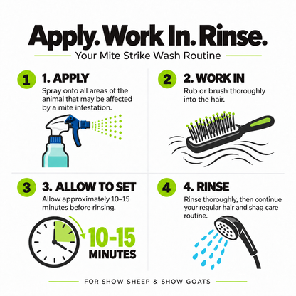 A four-step guide for using Mite Strike – Plant-Based Enzymatic Shampoo for Show Sheep & Goats: 1. Apply spray, 2. Work in with a brush, 3. Allow to set for 10-15 minutes, 4. Rinse thoroughly.