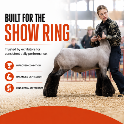 A young woman holds a neatly groomed sheep in a show ring. Text reads: Orange Power™ by Infinite Health Labs—B12 performance drench to boost appetite, enhance condition, and support ring-ready appearance in cattle, sheep, goats & pigs. Others are visible in the background.