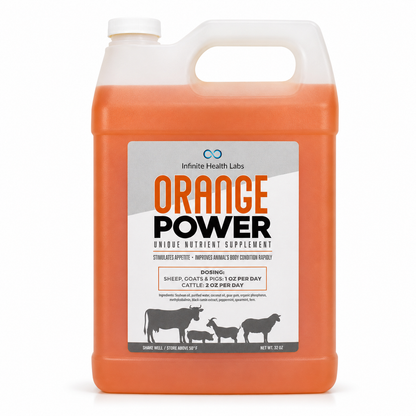 A large plastic jug of Infinite Health Labs Orange Power – Show Cattle, Sheep, Goat & Pig Appetite Supplement (B12 Performance Drench) with orange liquid and animal silhouettes, includes dosing instructions for boosting show animal performance.