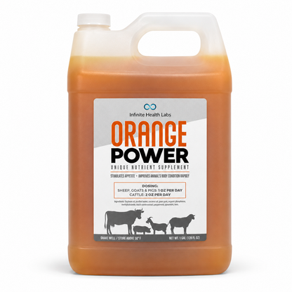 A large plastic jug labeled “Orange Power – Show Cattle, Sheep, Goat & Pig Appetite Supplement | B12 Performance Drench” by Infinite Health Labs, with dosing instructions for sheep, goats, pigs, and cattle. This B12-powered supplement contains an orange liquid designed to enhance appetite and support show animal performance. The jug features a handle and a screw cap.