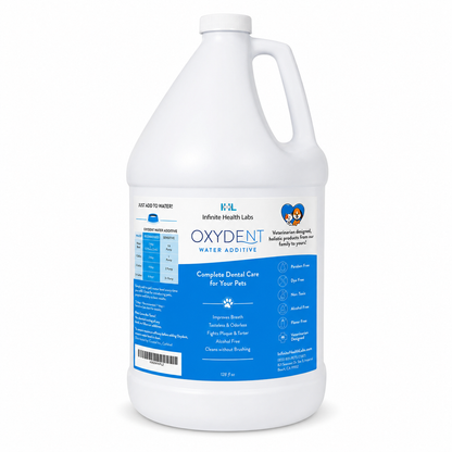 A large white jug labeled “Oxydent Pet Dental Care | Dog & Cat Water Additive for Bad Breath, Tartar & Gum Health” by Infinite Health Labs. The blue and white label emphasizes benefits such as plaque removal and fresher breath, making it an effective pet dental water additive and bad breath remover. This alcohol- and flavor-free formula supports comprehensive dog and cat dental care.