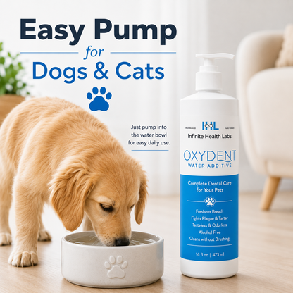 A light brown dog drinks from a bowl beside a bottle of Infinite Health Labs Oxydent Pet Dental Care | Dog & Cat Water Additive for Bad Breath, Tartar & Gum Health. The label highlights its easy use for both dogs and cats, supporting dental care and helping with bad breath. A human hand is seen holding the pump of the bottle.