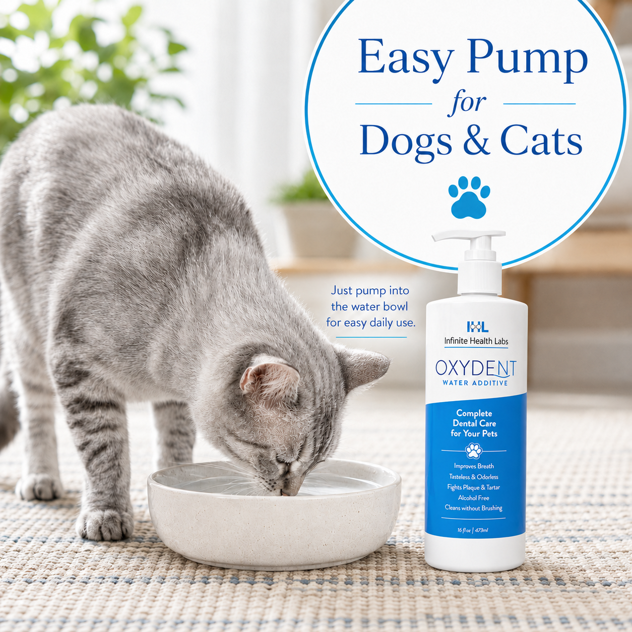 A gray and white cat drinks from a light-colored bowl beside a bottle labeled Oxydent Pet Dental Care by Infinite Health Labs, a dog and cat water additive for bad breath, tartar, and gum health. In the background, text promotes its easy pump for dogs and cats.