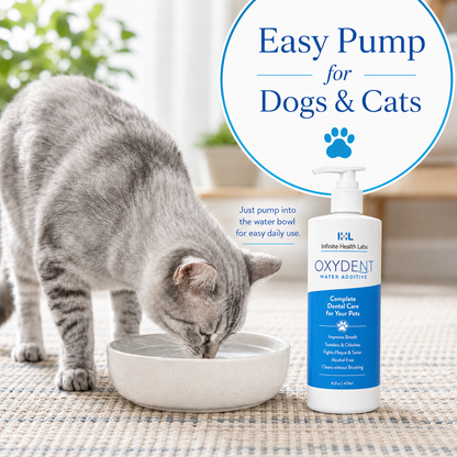 A gray and white cat drinks from a light-colored bowl beside a bottle labeled Oxydent Pet Dental Care by Infinite Health Labs, a dog and cat water additive for bad breath, tartar, and gum health. In the background, text promotes its easy pump for dogs and cats.