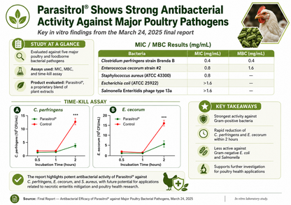 Infographic presenting the antibacterial effects of Parasitrol Poultry Water Additive by Infinite Health Labs on key poultry pathogens, featuring graphs and data tables with MIC/MBC values, an experiment summary, and key findings demonstrating its efficacy against bacteria such as C. perfringens and Salmonella. The infographic also highlights how this all-natural herbal formula supports gut health for poultry while assisting in the management of coccidia and other parasites.