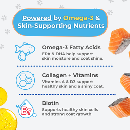Infographic with text: Powered by Omega-3 & Skin-Supporting Nutrients. Features Infinite Health Labs Dog Skin & Coat Soft Chews—omega-3, collagen, biotin for pet skin and coat health—with drawings of fish, supplements, and salmon pieces.
