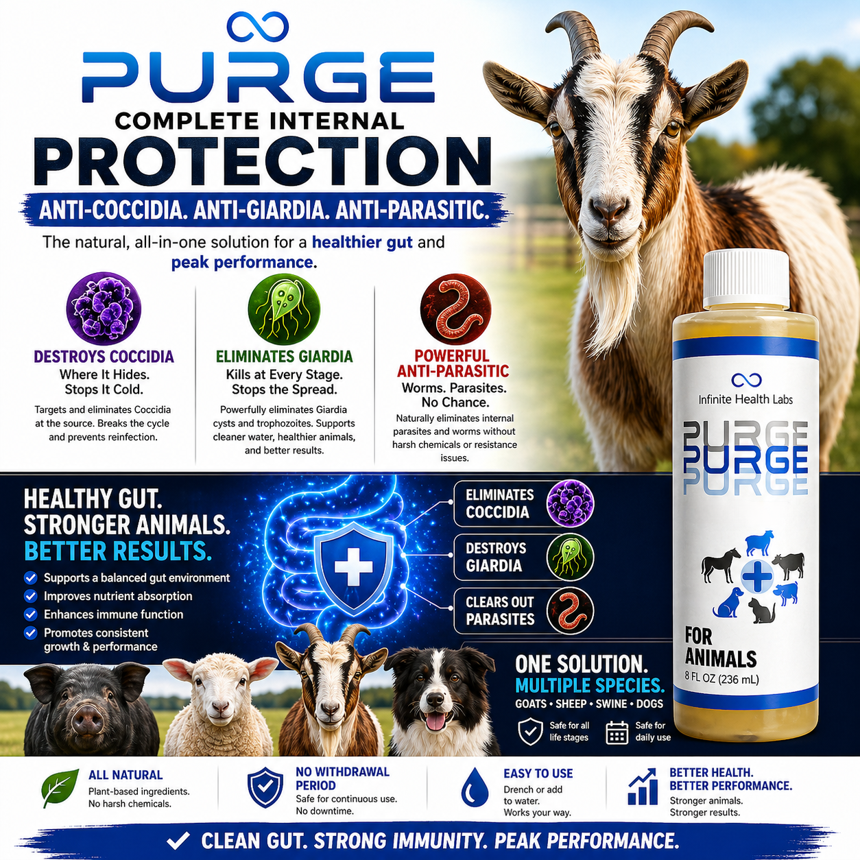 A promotional image for Purge – Natural Dewormer for Goats, Sheep, Dogs & Swine from Infinite Health Labs, showcasing a goat, the product bottle, its key benefits, and farm animal icons on a blue and white background. The formula is highlighted as a natural digestive support solution and an effective parasite support supplement that targets threats such as coccidia and giardia.