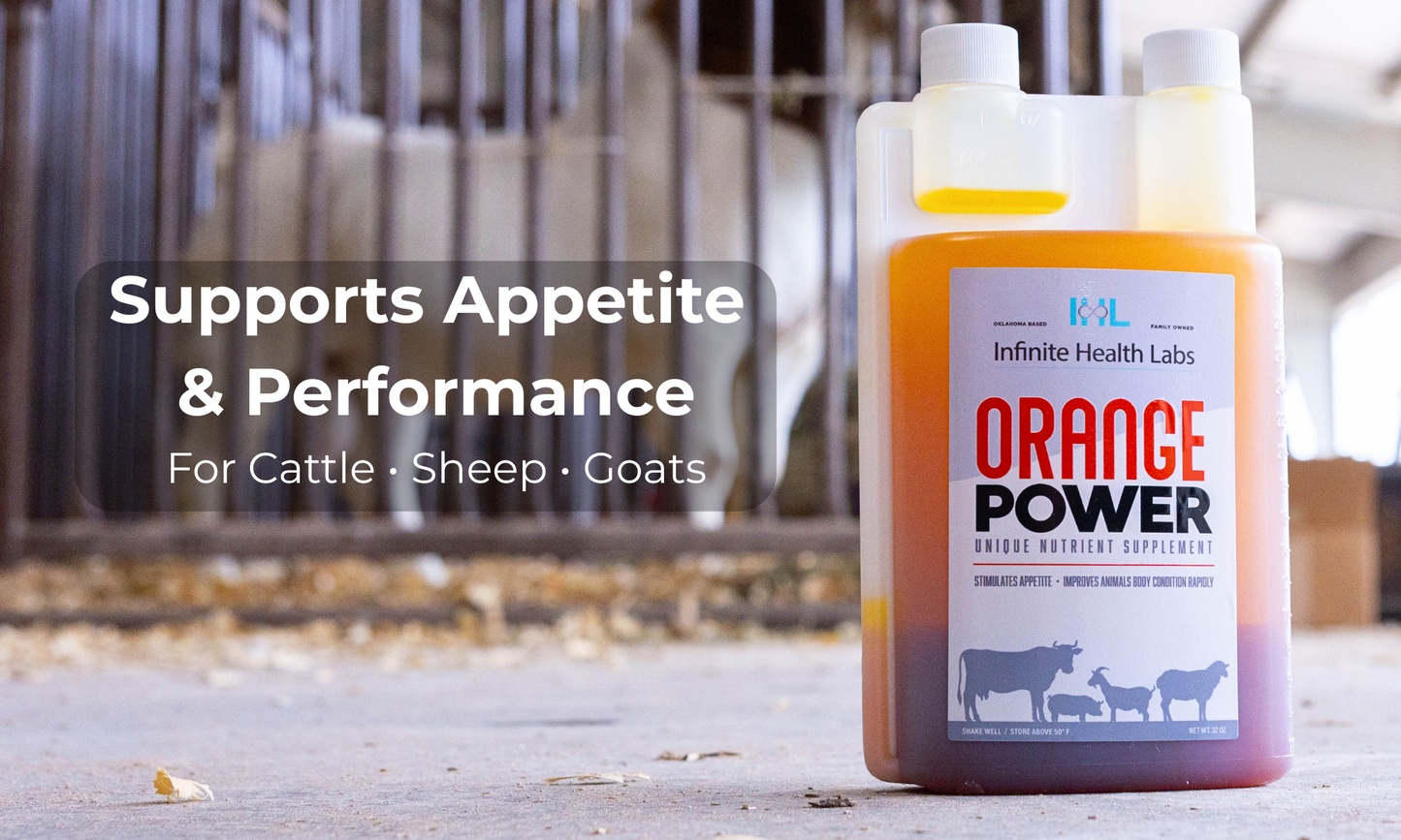 A bottle of Infinite Health Labs Orange Power liquid supplement for cattle, sheep, and goats stands in a barn; text reads “Supports Appetite & Performance for Cattle • Sheep • Goats.” A blurred cow is visible in the background.