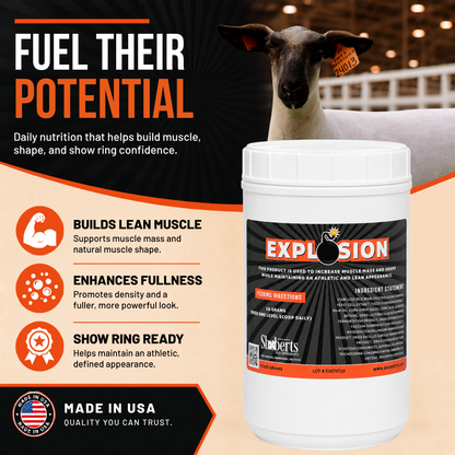 A container of Infinite Health Labs Explosion Livestock Supplement | Muscle Growth, Shape & Density Support for Show Animals is displayed in front of a sheep, with text emphasizing benefits such as supporting muscle growth, improving animal shape and density, and helping prepare show animals for competition. A “Made in USA” label appears on the bottom left.