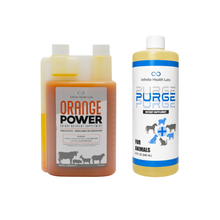 The Orange Power + Purge | Champion Clean & Fill Bundle from Infinite Health Labs includes two animal supplements—an orange appetite and weight support liquid, and a yellow natural dewormer—each with livestock silhouettes on white backgrounds.