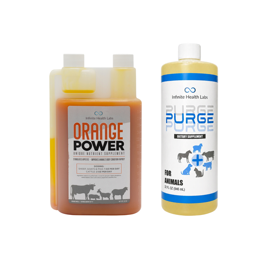 The Orange Power + Purge | Champion Clean & Fill Bundle from Infinite Health Labs includes two animal supplements—an orange appetite and weight support liquid, and a yellow natural dewormer—each with livestock silhouettes on white backgrounds.